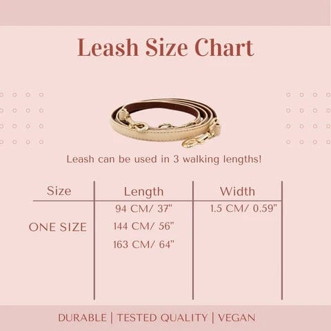 2 In 1 Piñatex® Vegan Leather Dog Collar & Leash Set | Beige