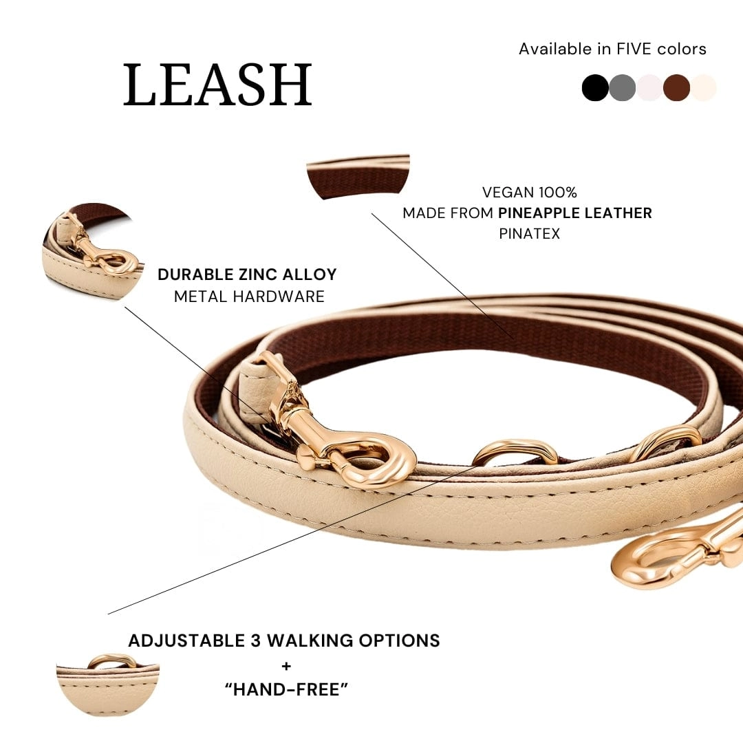 2 In 1 Piñatex® Vegan Leather Dog Collar & Leash Set | Beige