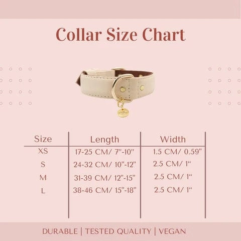 2 In 1 Piñatex® Vegan Leather Dog Collar & Leash Set | Beige