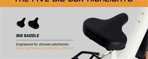 Aima Big Sur Electric Fat Tire Bike