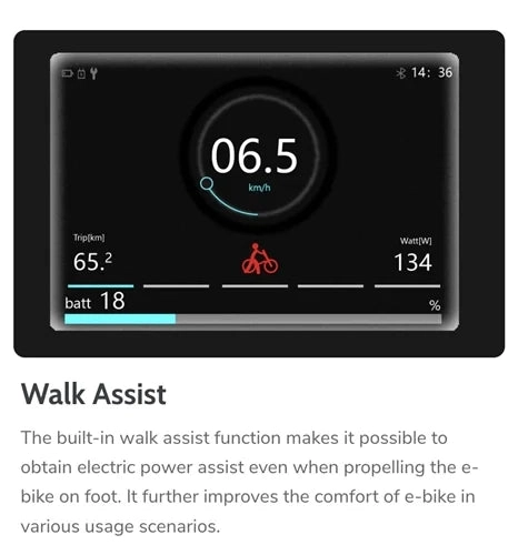 Aima Big Sur Electric Fat Tire Bike