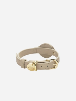 Cupertino Air Tag Enabled Vegan Leather Dog Collar | Multiple Colours