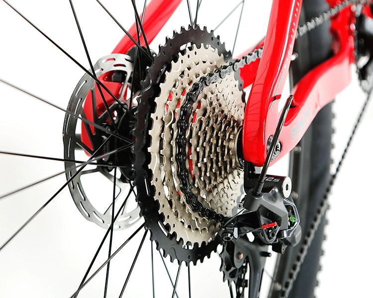 OVERLORD 2025 - SHIMANO DEORE M6100 12 Speed - Carbon Fiber Mountain Bike