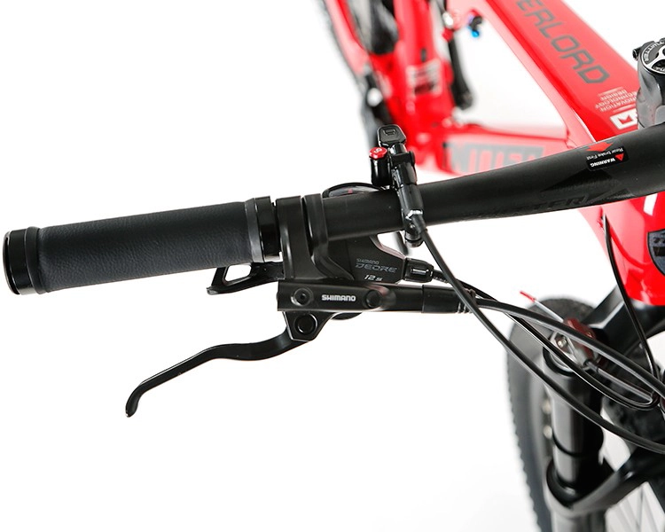OVERLORD 2025 - SHIMANO DEORE M6100 12 Speed - Carbon Fiber Mountain Bike