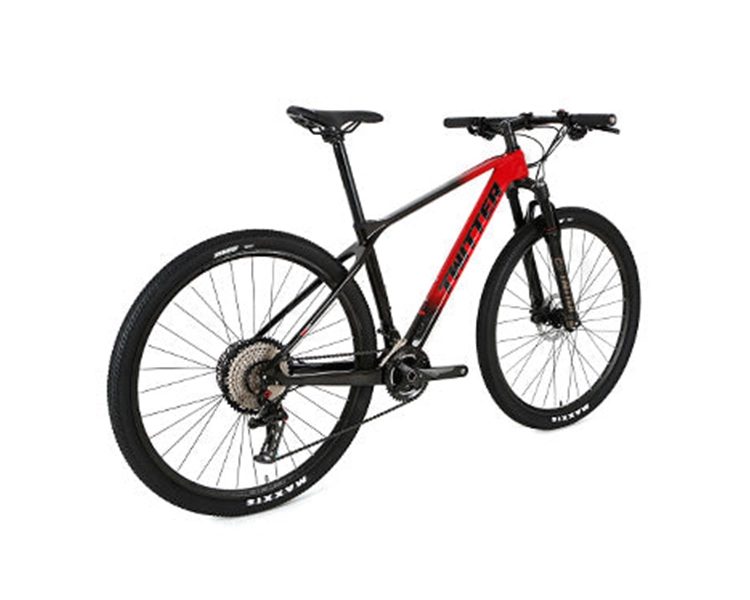 PREDATOR Pro (QR) - RS LTWOO 26 Speed - Carbon Fiber Mountain Bike