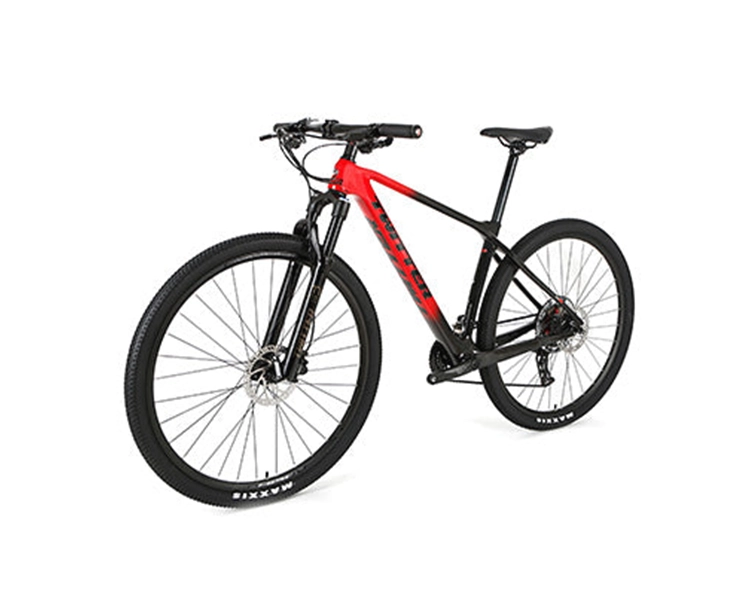 PREDATOR Pro (QR) - RS LTWOO 26 Speed - Carbon Fiber Mountain Bike