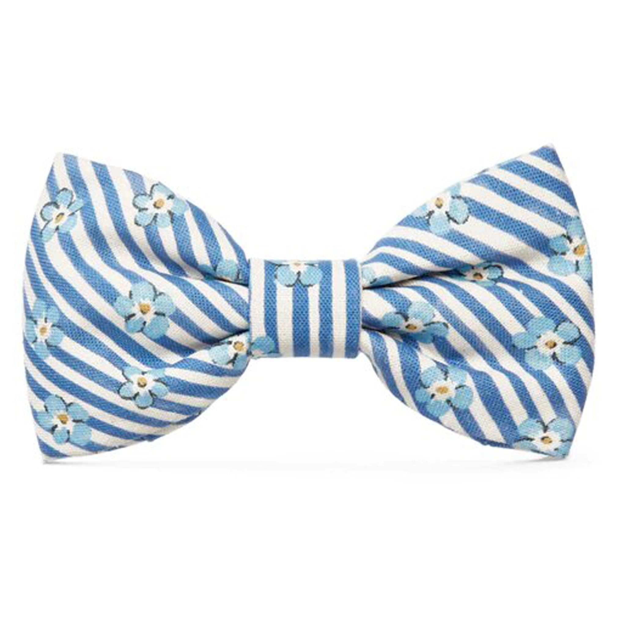 The Foggy Dog Forget Me Not Blue Dog Bowtie