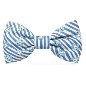 The Foggy Dog Forget Me Not Blue Dog Bowtie