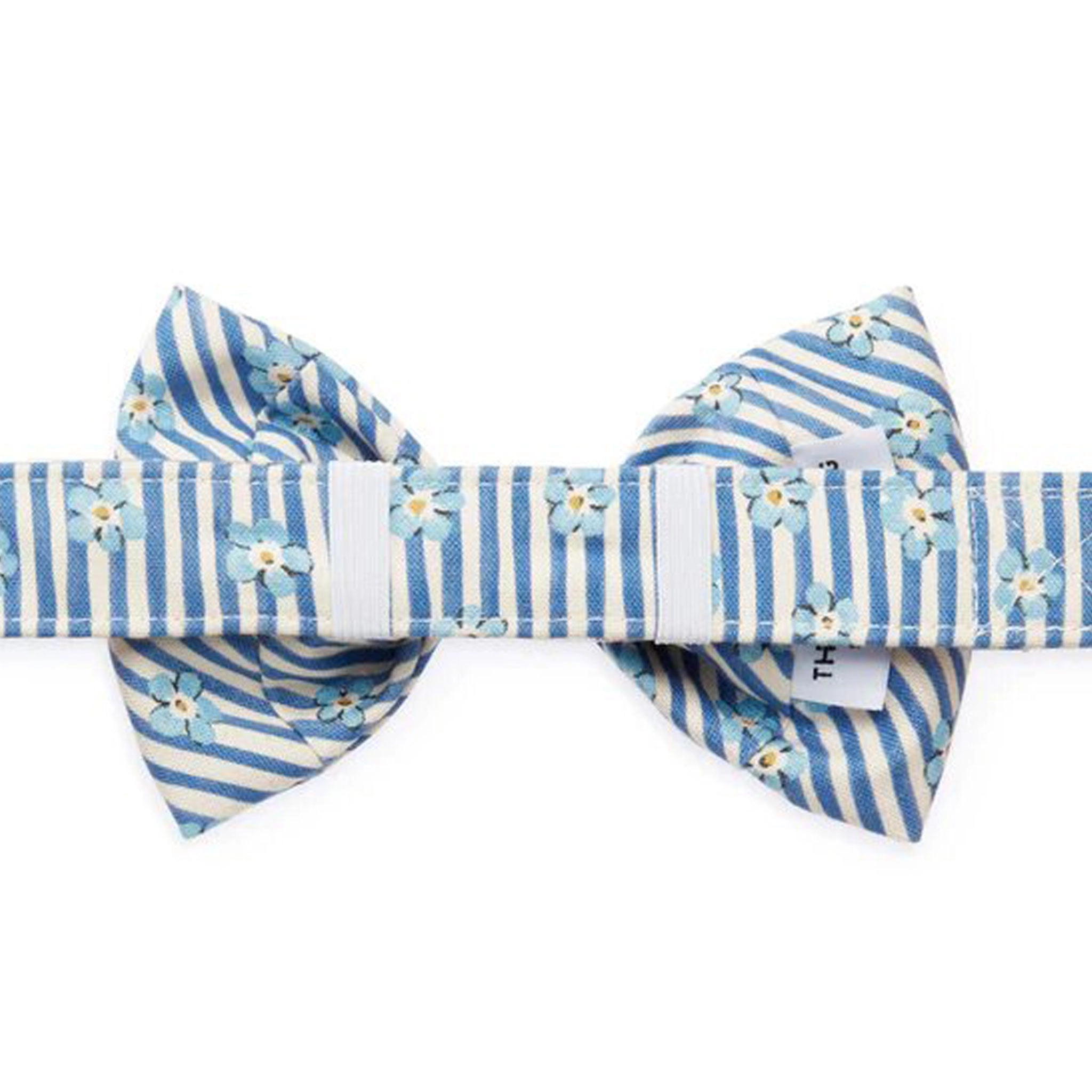 The Foggy Dog Forget Me Not Blue Dog Bowtie